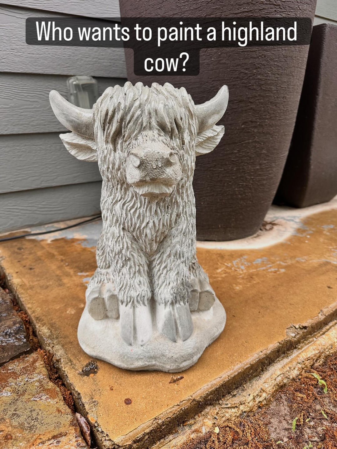 PORCH GEESE AND HIGHLAND COW - JUNE 27TH - 3:00 PM