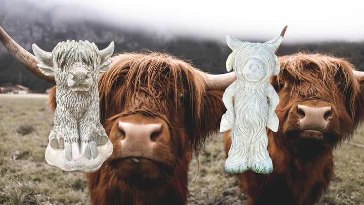 PORCH GEESE AND HIGHLAND COW - JUNE 27TH - 3:00 PM