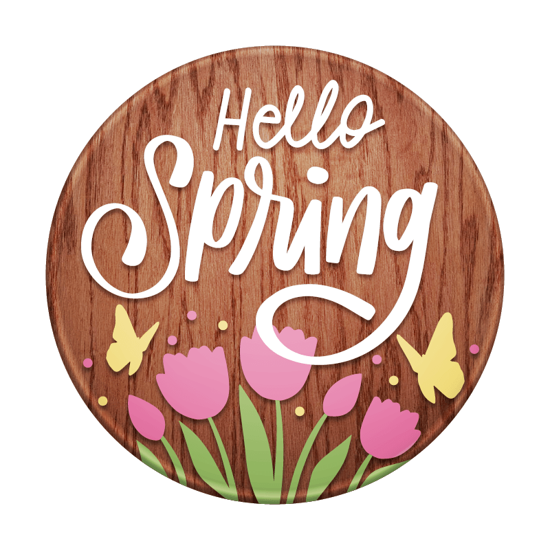 SPRING ROUNDS  - HOPKINS PARTY