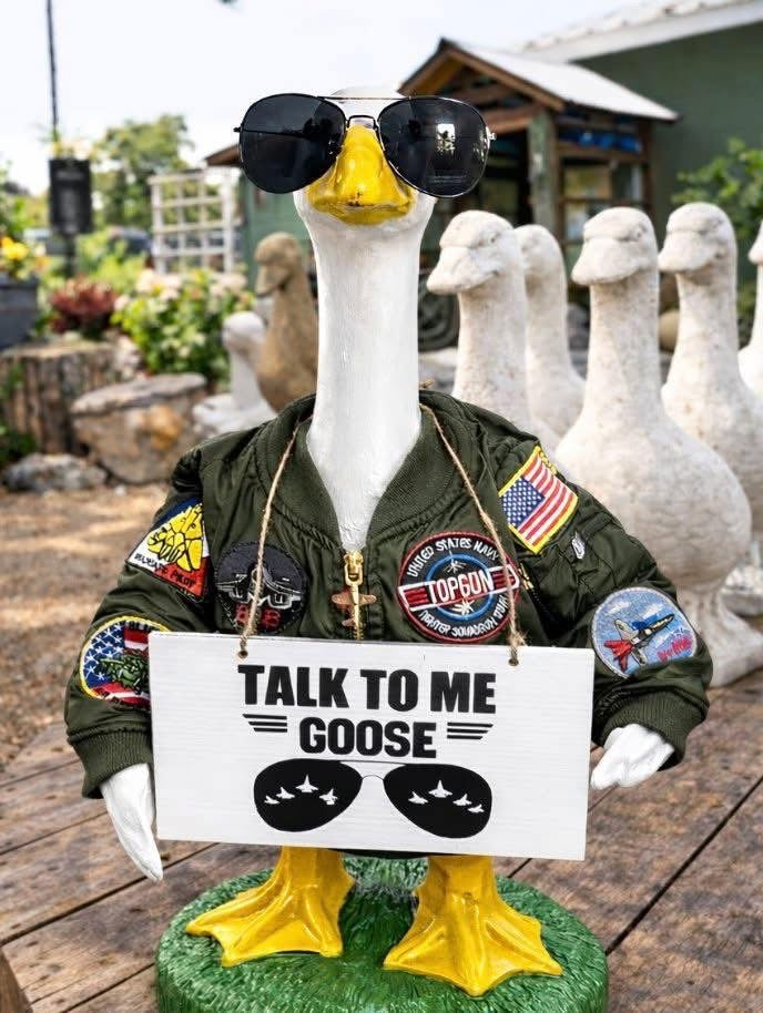 PORCH GEESE AND HIGHLAND COW - JUNE 27TH - 3:00 PM