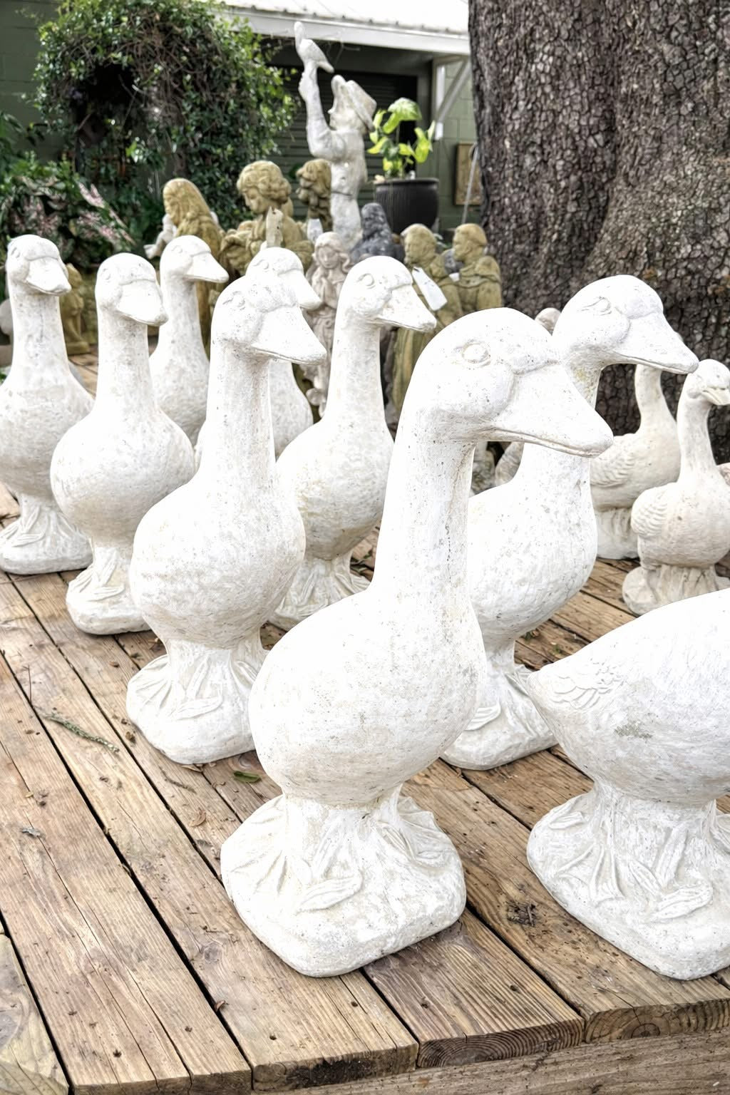PORCH GEESE AND HIGHLAND COW - JUNE 27TH - 3:00 PM