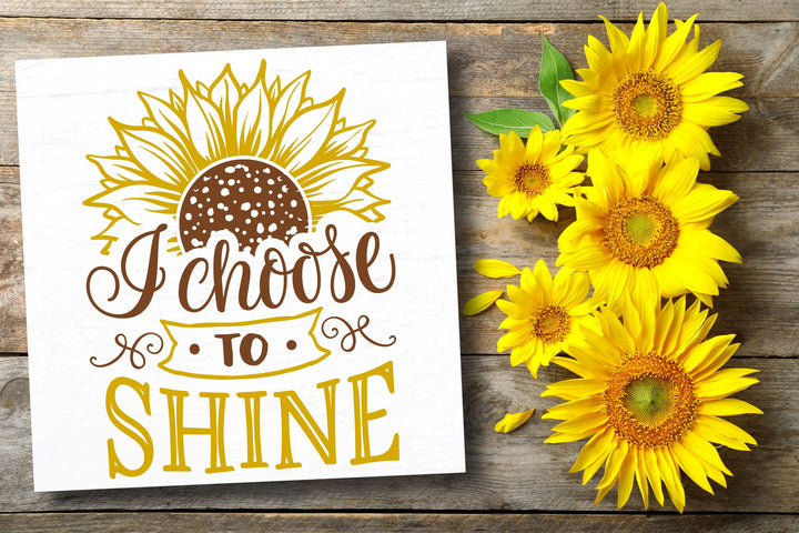 SUNSHINE STATE OF MIND WORKSHOP