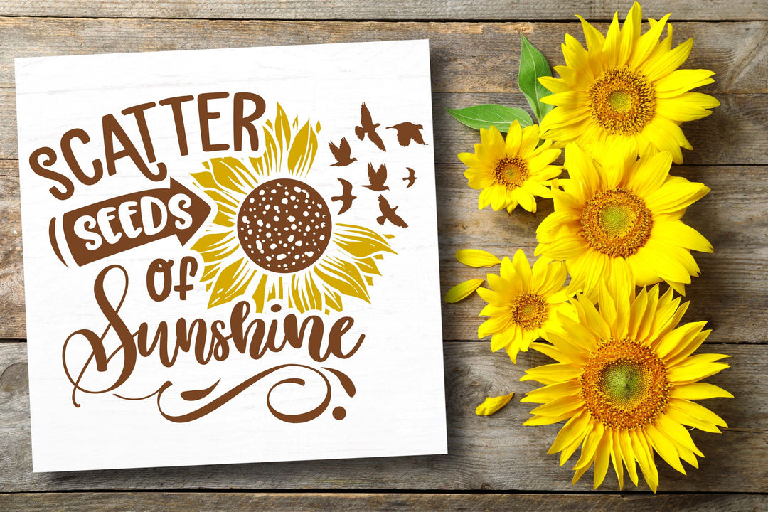 SUNSHINE STATE OF MIND WORKSHOP