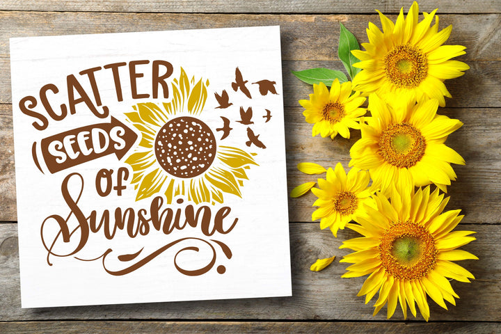 SUNSHINE STATE OF MIND WORKSHOP