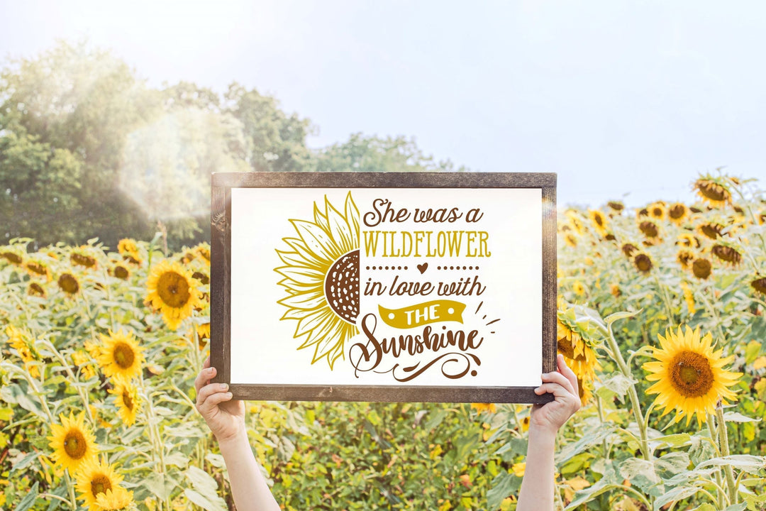 SUNSHINE STATE OF MIND WORKSHOP