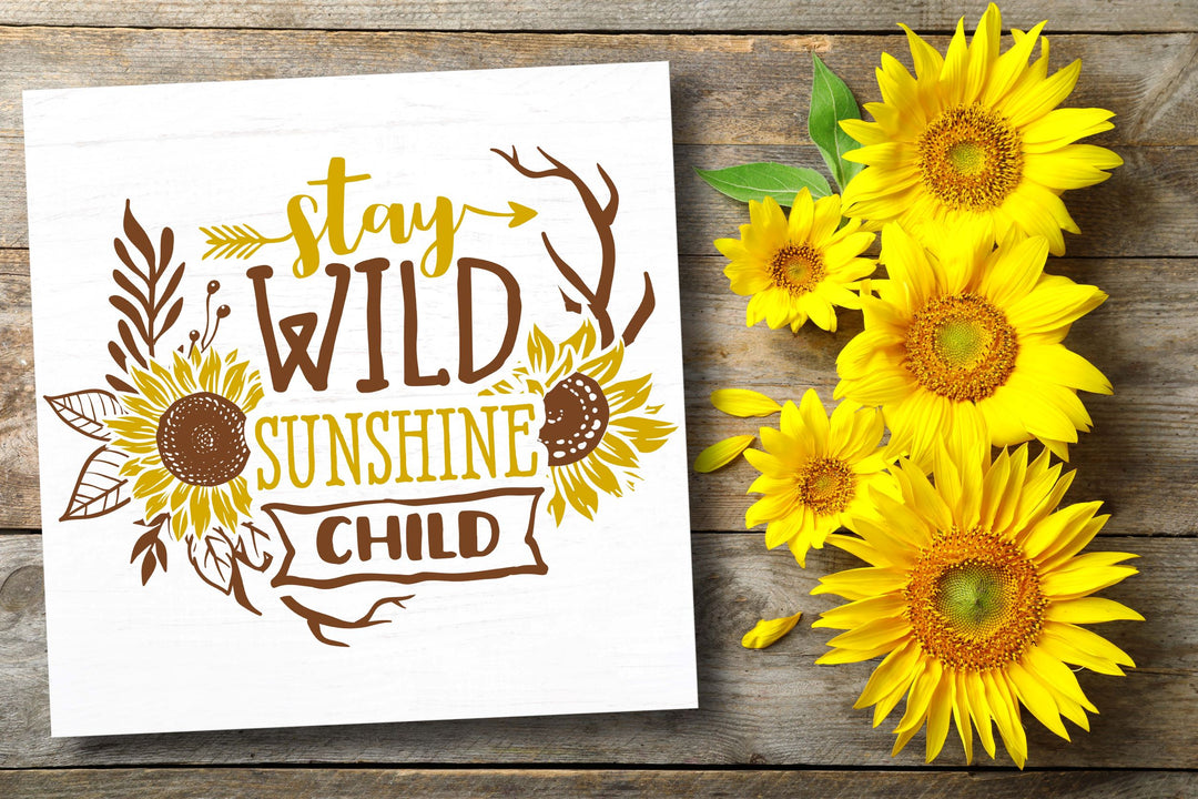 SUNSHINE STATE OF MIND WORKSHOP